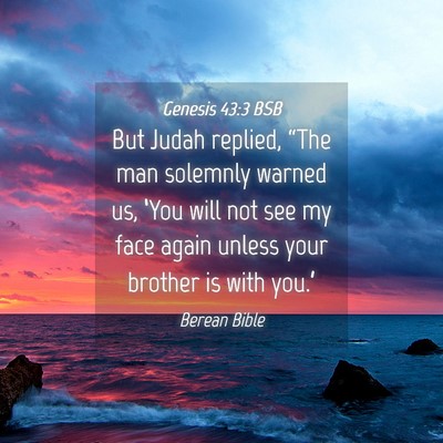 Picture 04 - Genesis 43:3 BSB - But Judah replied, “The man solemnly warned us, - Bible Verse Picture