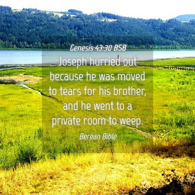 Picture 04 - Genesis 43:30 BSB - Joseph hurried out because he was moved to tears - Bible Verse Picture