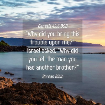 Picture 04 - Genesis 43:6 BSB - “Why did you bring this trouble upon me?” - Bible Verse Picture