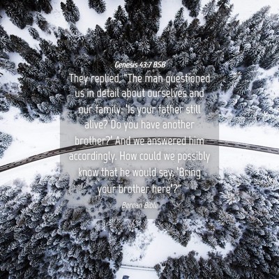 Picture 04 - Genesis 43:7 BSB - They replied, “The man questioned us in detail - Bible Verse Picture