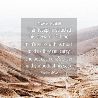 Picture 04 - Genesis 44:1 BSB - Then Joseph instructed his steward: “Fill the - Bible Verse Picture
