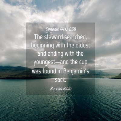 Picture 04 - Genesis 44:12 BSB - The steward searched, beginning with the oldest - Bible Verse Picture