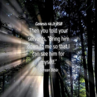 Picture 04 - Genesis 44:21 BSB - Then you told your servants, ‘Bring him down to - Bible Verse Picture