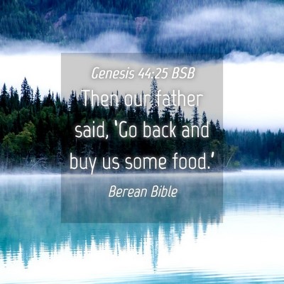 Picture 04 - Genesis 44:25 BSB - Then our father said, ‘Go back and buy us some - Bible Verse Picture