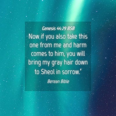 Picture 04 - Genesis 44:29 BSB - Now if you also take this one from me and harm - Bible Verse Picture