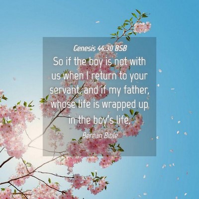 Picture 04 - Genesis 44:30 BSB - So if the boy is not with us when I return to - Bible Verse Picture