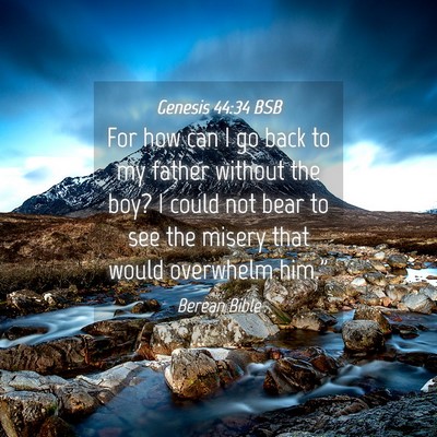 Picture 04 - Genesis 44:34 BSB - For how can I go back to my father without the - Bible Verse Picture