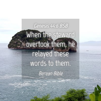 Picture 04 - Genesis 44:6 BSB - When the steward overtook them, he relayed these - Bible Verse Picture