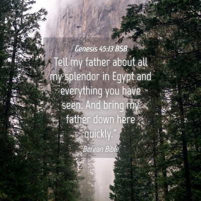 Picture 04 - Genesis 45:13 BSB - Tell my father about all my splendor in Egypt and - Bible Verse Picture