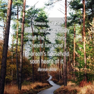 Picture 04 - Genesis 45:2 BSB - But he wept so loudly that the Egyptians heard - Bible Verse Picture