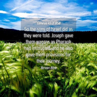 Picture 04 - Genesis 45:21 BSB - So the sons of Israel did as they were told. - Bible Verse Picture