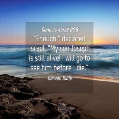 Picture 04 - Genesis 45:28 BSB - “Enough!” declared Israel. “My son Joseph - Bible Verse Picture