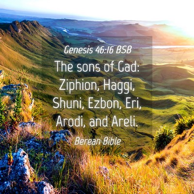 Picture 04 - Genesis 46:16 BSB - The sons of Gad: Ziphion, Haggi, Shuni, Ezbon, - Bible Verse Picture