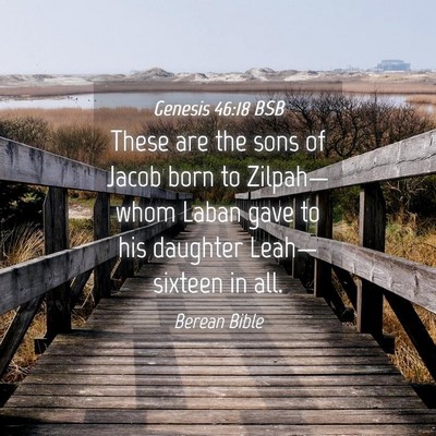 Picture 04 - Genesis 46:18 BSB - These are the sons of Jacob born to Zilpah—whom - Bible Verse Picture