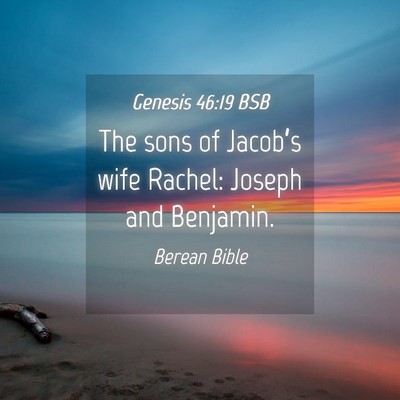 Picture 04 - Genesis 46:19 BSB - The sons of Jacob’s wife Rachel: Joseph and - Bible Verse Picture