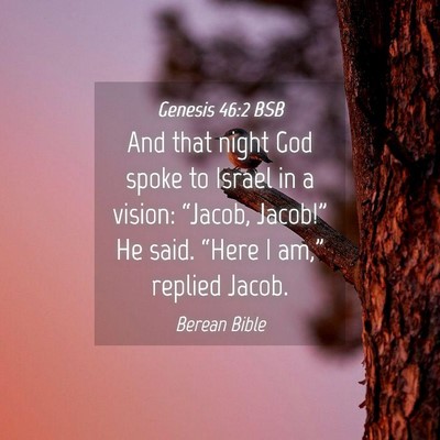 Picture 04 - Genesis 46:2 BSB - And that night God spoke to Israel in a vision: - Bible Verse Picture