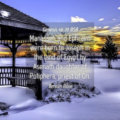 Picture 04 - Genesis 46:20 BSB - Manasseh and Ephraim were born to Joseph in the - Bible Verse Picture