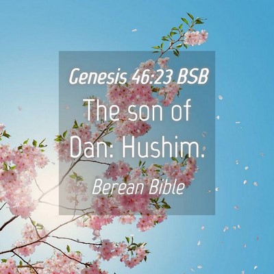 Picture 04 - Genesis 46:23 BSB - The son of Dan: - Bible Verse Picture