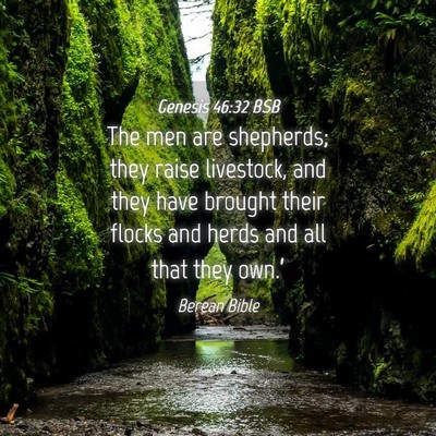 Picture 04 - Genesis 46:32 BSB - The men are shepherds; they raise livestock, and - Bible Verse Picture