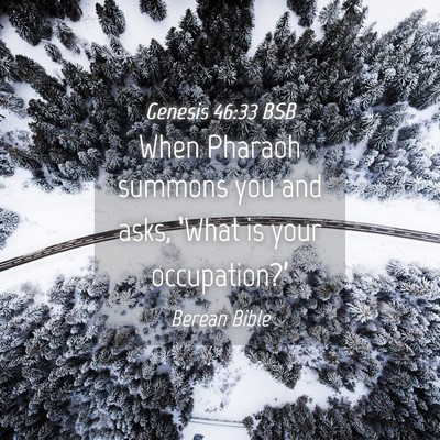 Picture 04 - Genesis 46:33 BSB - When Pharaoh summons you and asks, ‘What is - Bible Verse Picture