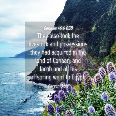 Picture 04 - Genesis 46:6 BSB - They also took the livestock and possessions they - Bible Verse Picture