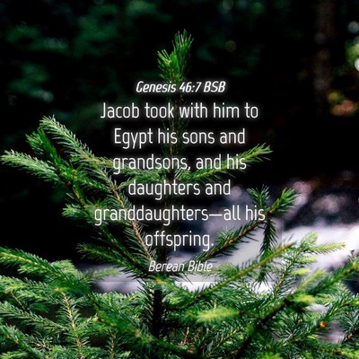 Picture 04 - Genesis 46:7 BSB - Jacob took with him to Egypt his sons and - Bible Verse Picture