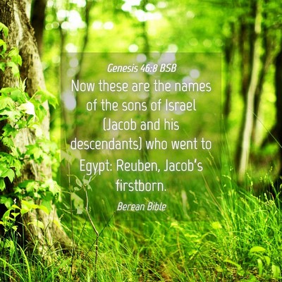 Picture 04 - Genesis 46:8 BSB - Now these are the names of the sons of Israel - Bible Verse Picture
