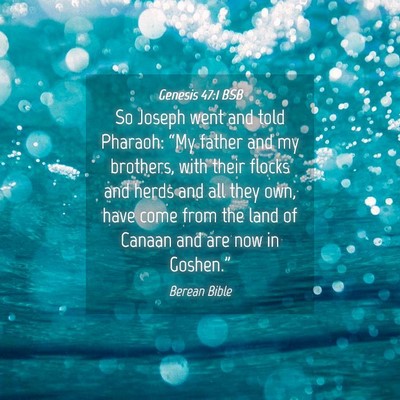 Picture 04 - Genesis 47:1 BSB - So Joseph went and told Pharaoh: “My father and - Bible Verse Picture