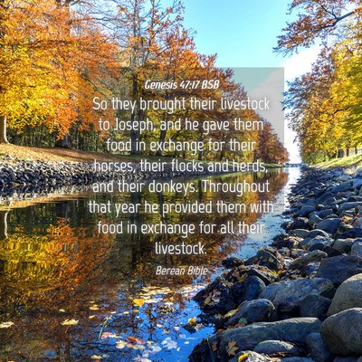 Picture 04 - Genesis 47:17 BSB - So they brought their livestock to Joseph, and he - Bible Verse Picture