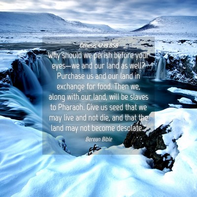Picture 04 - Genesis 47:19 BSB - Why should we perish before your eyes—we and - Bible Verse Picture