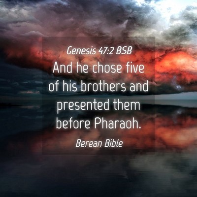 Picture 04 - Genesis 47:2 BSB - And he chose five of his brothers and presented - Bible Verse Picture