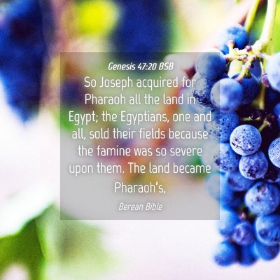 Picture 04 - Genesis 47:20 BSB - So Joseph acquired for Pharaoh all the land in - Bible Verse Picture