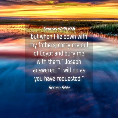 Picture 04 - Genesis 47:30 BSB - but when I lie down with my fathers, carry me out - Bible Verse Picture