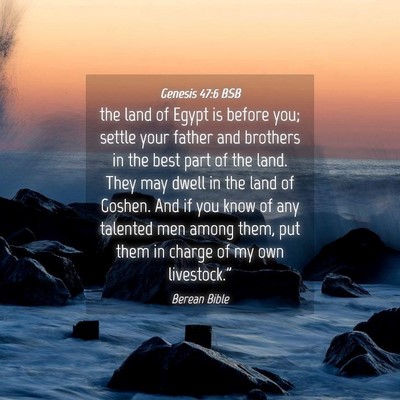Picture 04 - Genesis 47:6 BSB - the land of Egypt is before you; settle your - Bible Verse Picture