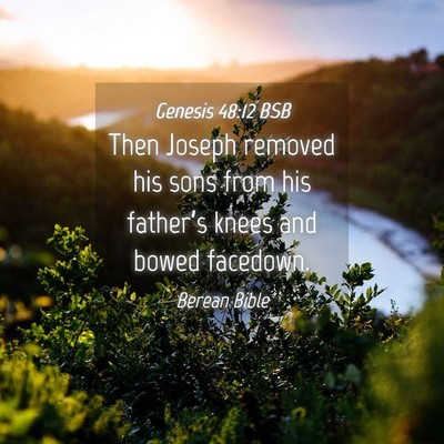 Picture 04 - Genesis 48:12 BSB - Then Joseph removed his sons from his father’s - Bible Verse Picture