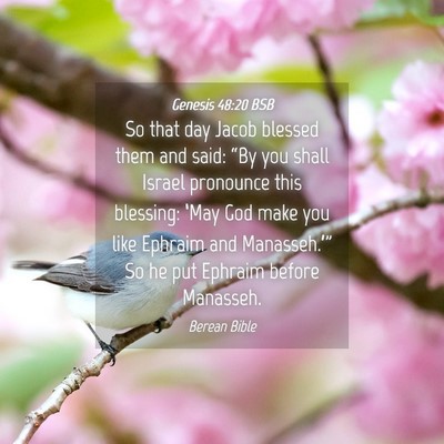 Picture 04 - Genesis 48:20 BSB - So that day Jacob blessed them and said: “By - Bible Verse Picture