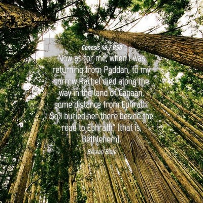 Picture 04 - Genesis 48:7 BSB - Now as for me, when I was returning from Paddan, - Bible Verse Picture