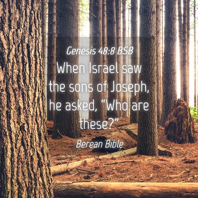 Picture 04 - Genesis 48:8 BSB - When Israel saw the sons of Joseph, he asked, - Bible Verse Picture
