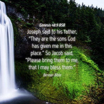 Picture 04 - Genesis 48:9 BSB - Joseph said to his father, “They are the sons - Bible Verse Picture