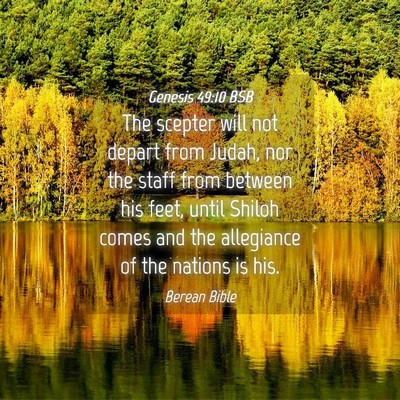 Picture 04 - Genesis 49:10 BSB - The scepter will not depart from Judah, nor the - Bible Verse Picture