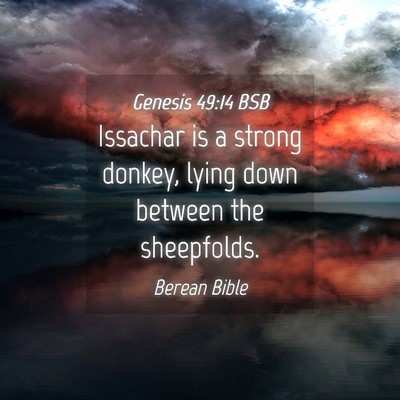 Picture 04 - Genesis 49:14 BSB - Issachar is a strong donkey, lying down between - Bible Verse Picture