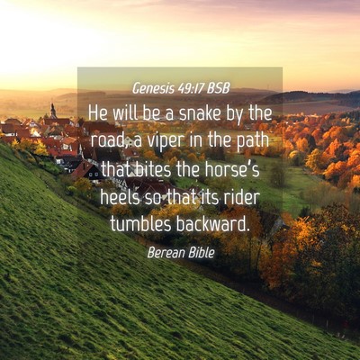 Picture 04 - Genesis 49:17 BSB - He will be a snake by the road, a viper in the - Bible Verse Picture