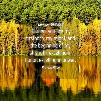 Picture 04 - Genesis 49:3 BSB - Reuben, you are my firstborn, my might, and the - Bible Verse Picture