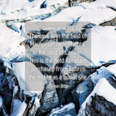 Picture 04 - Genesis 49:30 BSB - The cave is in the field of Machpelah near Mamre, - Bible Verse Picture