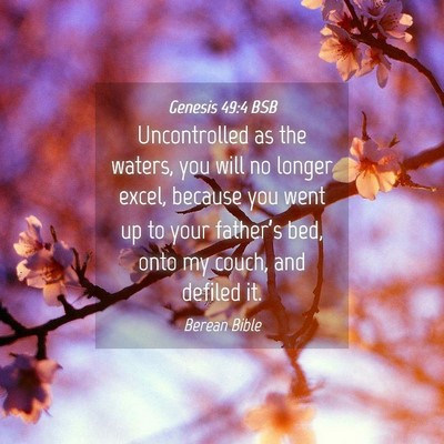 Picture 04 - Genesis 49:4 BSB - Uncontrolled as the waters, you will no longer - Bible Verse Picture