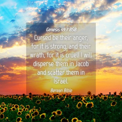 Picture 04 - Genesis 49:7 BSB - Cursed be their anger, for it is strong, and - Bible Verse Picture