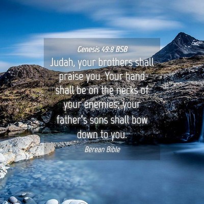 Picture 04 - Genesis 49:8 BSB - Judah, your brothers shall praise you. Your hand - Bible Verse Picture