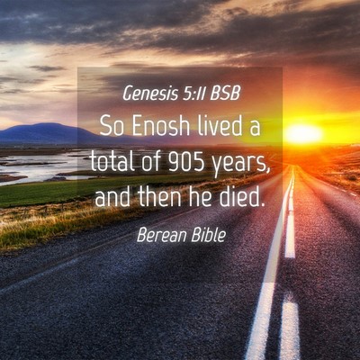 Picture 04 - Genesis 5:11 BSB - So Enosh lived a total of 905 years, and then he - Bible Verse Picture