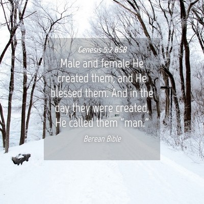 Picture 04 - Genesis 5:2 BSB - Male and female He created them, and He blessed - Bible Verse Picture