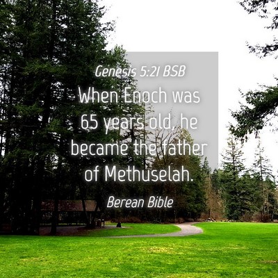 Picture 04 - Genesis 5:21 BSB - When Enoch was 65 years old, he became the father - Bible Verse Picture